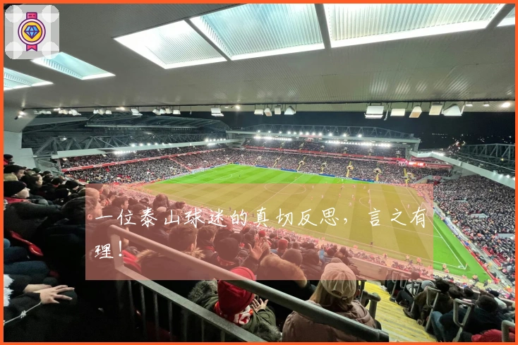 一位泰山球迷的真切反思，言之有理！